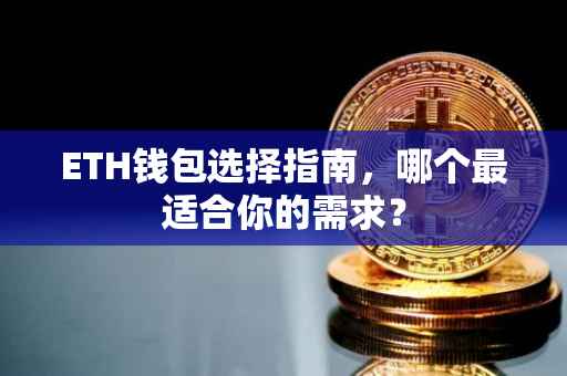 ETH钱包选择指南，哪个最适合你的需求？