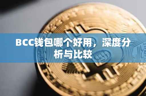 BCC钱包哪个好用，深度分析与比较