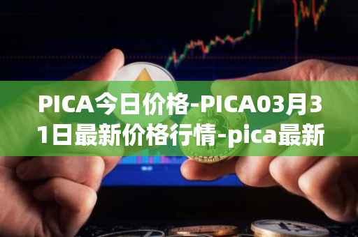 PICA今日价格-PICA03月31日最新价格行情-pica最新走势消息