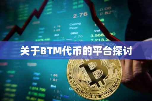 关于BTM代币的平台探讨