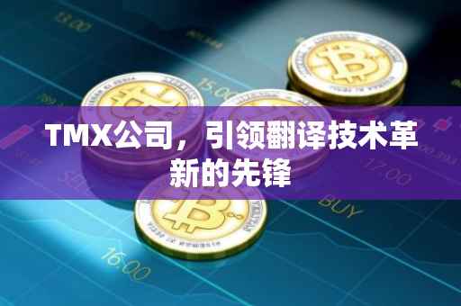 TMX公司，引领翻译技术革新的先锋