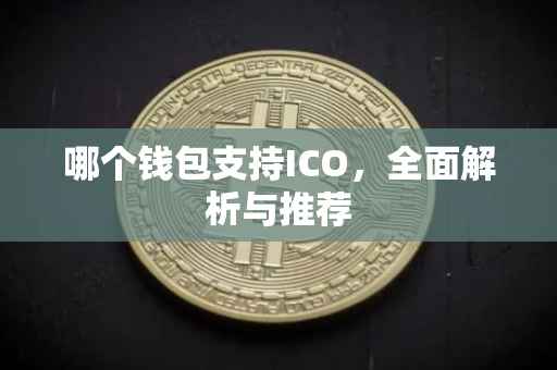 哪个钱包支持ICO，全面解析与推荐