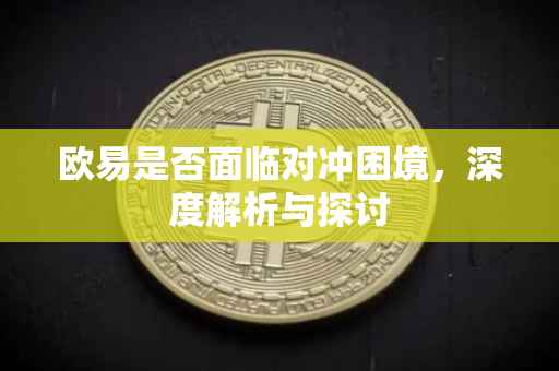 欧易是否面临对冲困境，深度解析与探讨