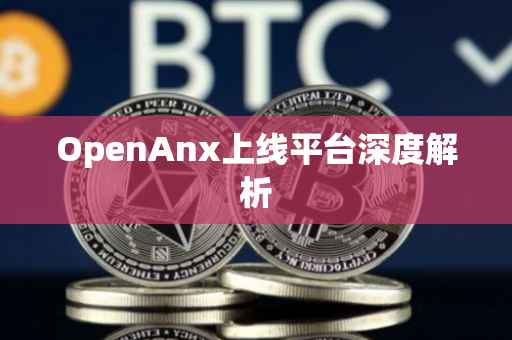 OpenAnx上线平台深度解析