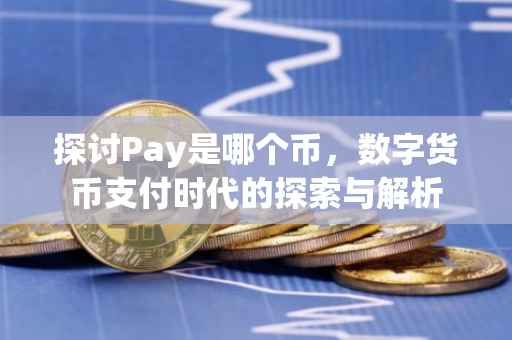 探讨Pay是哪个币，数字货币支付时代的探索与解析