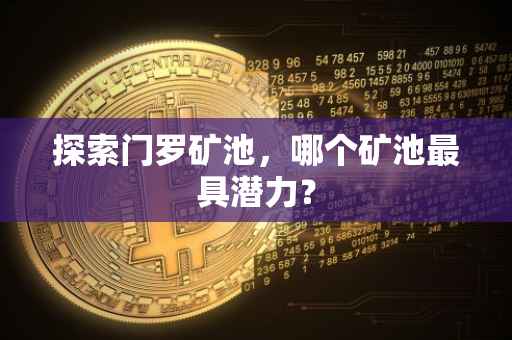 探索门罗矿池，哪个矿池最具潜力？