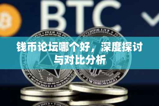 钱币论坛哪个好，深度探讨与对比分析