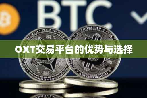 OXT交易平台的优势与选择