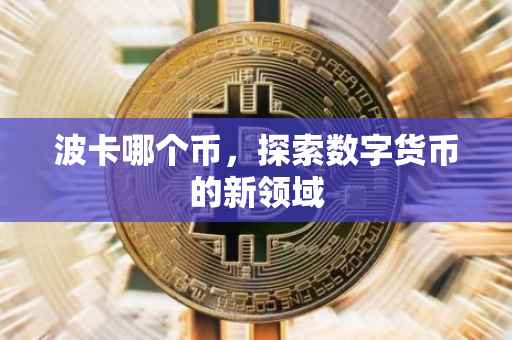 波卡哪个币，探索数字货币的新领域