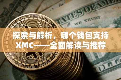 探索与解析，哪个钱包支持XMC——全面解读与推荐
