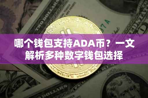 哪个钱包支持ADA币？一文解析多种数字钱包选择