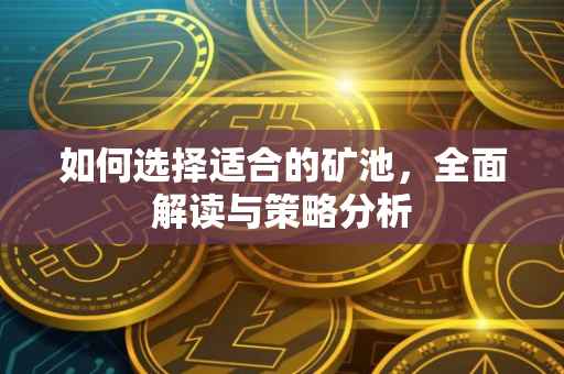 如何选择适合的矿池，全面解读与策略分析