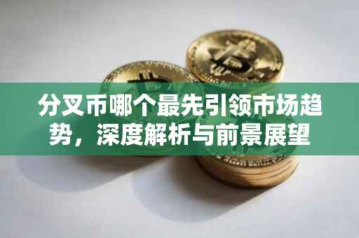 分叉币哪个最先引领市场趋势，深度解析与前景展望