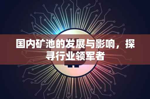 国内矿池的发展与影响，探寻行业领军者