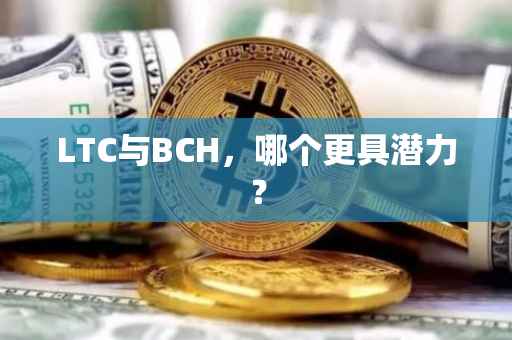 LTC与BCH，哪个更具潜力？