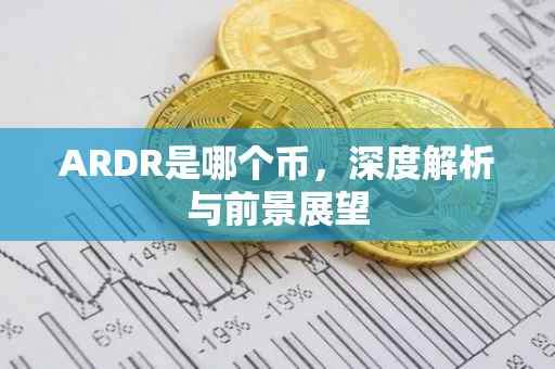ARDR是哪个币，深度解析与前景展望