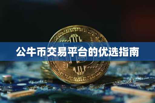 公牛币交易平台的优选指南