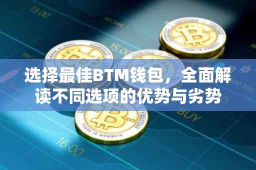 选择最佳BTM钱包，全面解读不同选项的优势与劣势