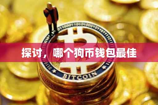 探讨，哪个狗币钱包最佳