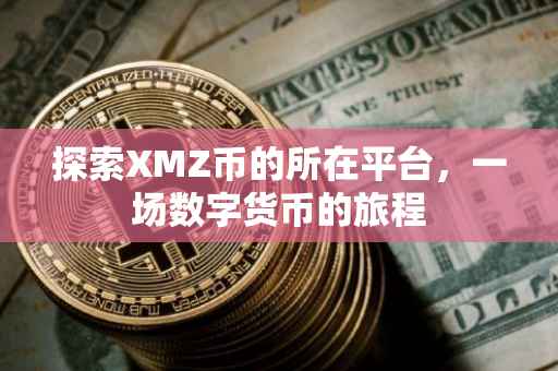 探索XMZ币的所在平台，一场数字货币的旅程