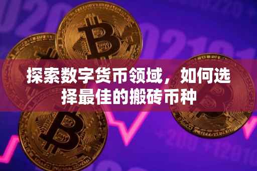 探索数字货币领域，如何选择最佳的搬砖币种