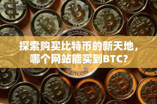 探索购买比特币的新天地，哪个网站能买到BTC？