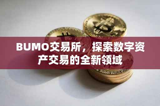 BUMO交易所，探索数字资产交易的全新领域