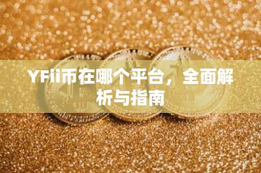 YFii币在哪个平台，全面解析与指南