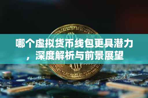 哪个虚拟货币线包更具潜力，深度解析与前景展望