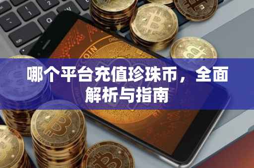 哪个平台充值珍珠币，全面解析与指南