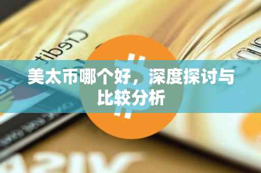 美太币哪个好，深度探讨与比较分析