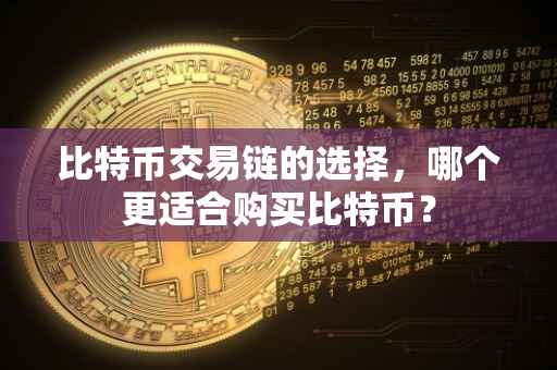 比特币交易链的选择，哪个更适合购买比特币？