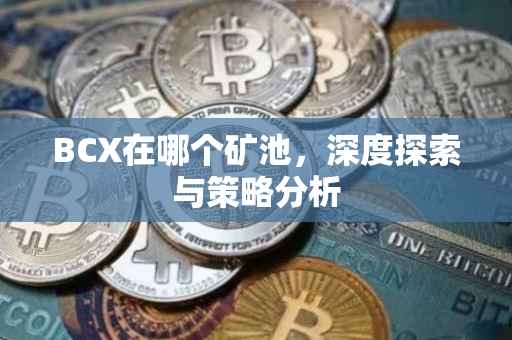 BCX在哪个矿池，深度探索与策略分析