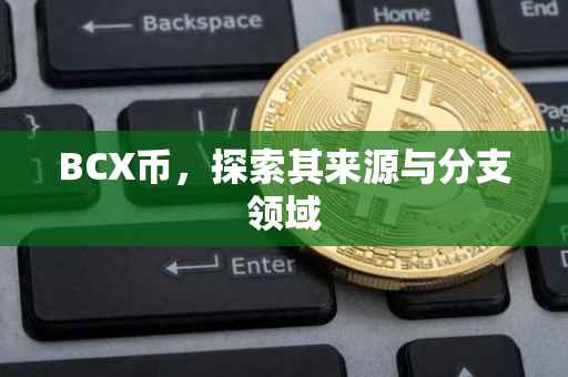 BCX币，探索其来源与分支领域