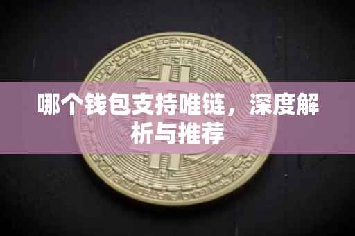 哪个钱包支持唯链，深度解析与推荐