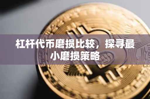 杠杆代币磨损比较，探寻最小磨损策略