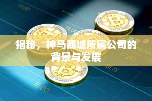 揭秘，神马商城所属公司的背景与发展