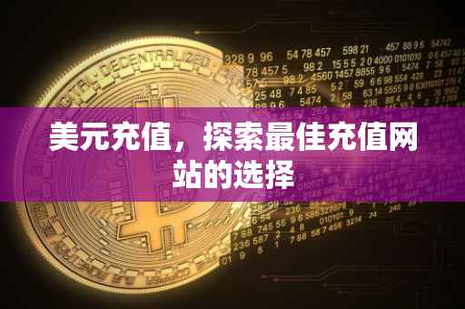 美元充值，探索最佳充值网站的选择