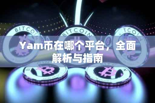 Yam币在哪个平台，全面解析与指南