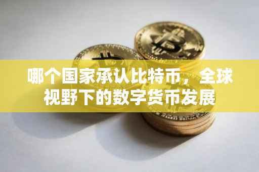 哪个国家承认比特币，全球视野下的数字货币发展