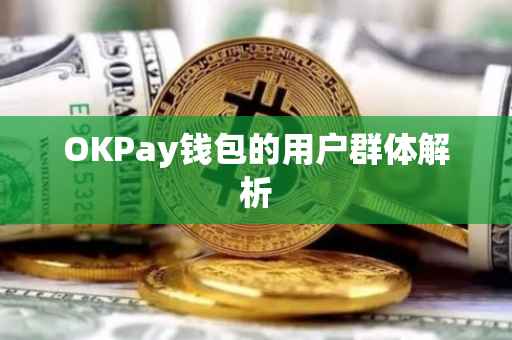OKPay钱包的用户群体解析