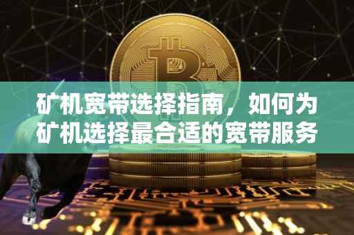矿机宽带选择指南，如何为矿机选择最合适的宽带服务