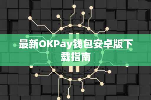 最新OKPay钱包安卓版下载指南