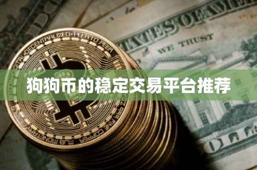 狗狗币的稳定交易平台推荐