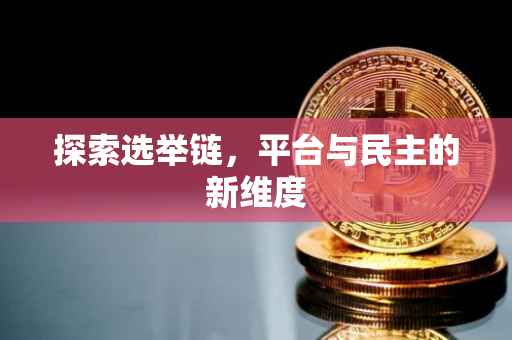 探索选举链，平台与民主的新维度