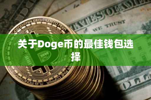 关于Doge币的最佳钱包选择