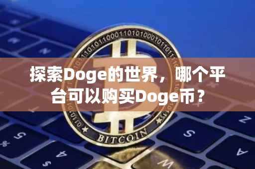 探索Doge的世界，哪个平台可以购买Doge币？