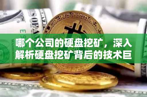 哪个公司的硬盘挖矿，深入解析硬盘挖矿背后的技术巨头