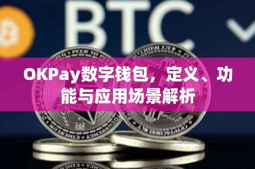 OKPay数字钱包，定义、功能与应用场景解析