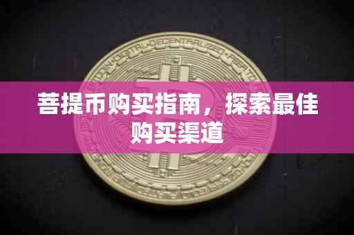 菩提币购买指南，探索最佳购买渠道